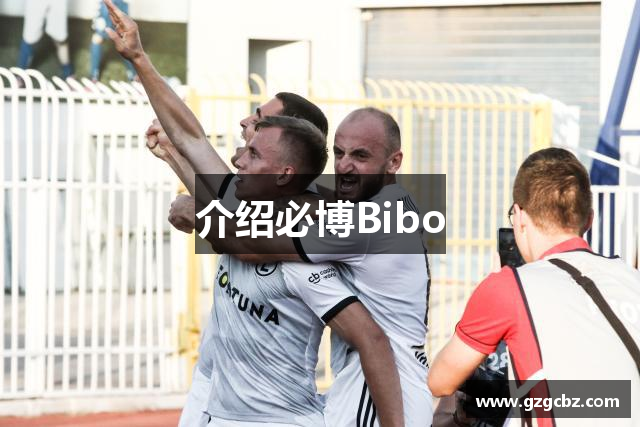 介绍必博Bibo